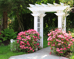 Arbors, Gazebos, Pergolas