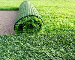 Synthetic Grass